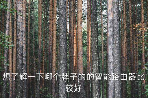 想了解一下哪個(gè)牌子的的智能路由器比較好