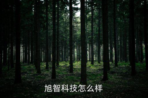 旭智科技怎么樣