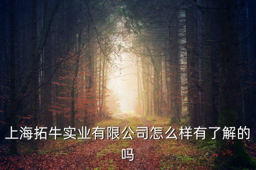上海拓牛實(shí)業(yè)有限公司怎么樣有了解的嗎