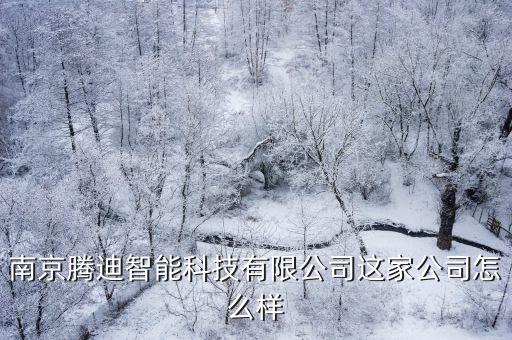 南京騰迪智能科技有限公司這家公司怎么樣