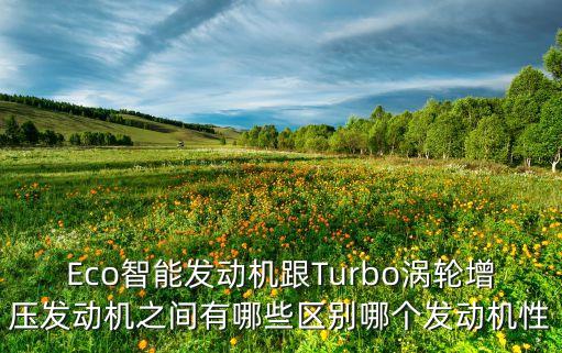 Eco智能發(fā)動機跟Turbo渦輪增壓發(fā)動機之間有哪些區(qū)別哪個發(fā)動機性