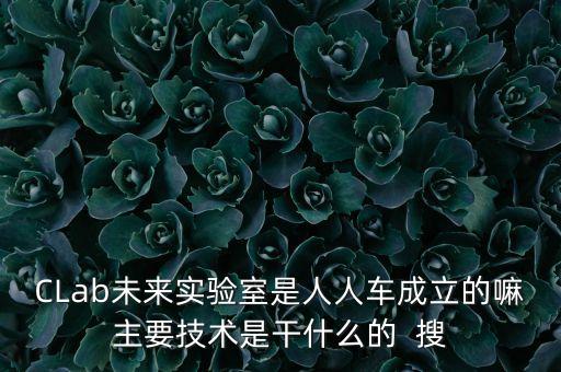 CLab未來(lái)實(shí)驗(yàn)室是人人車(chē)成立的嘛主要技術(shù)是干什么的  搜