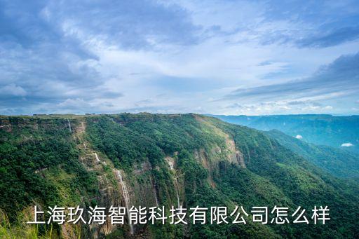 玖發(fā)智能科技怎么樣，上海莘發(fā)智能科技有限公司怎么樣