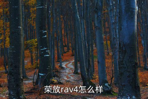 榮放rav4怎么樣