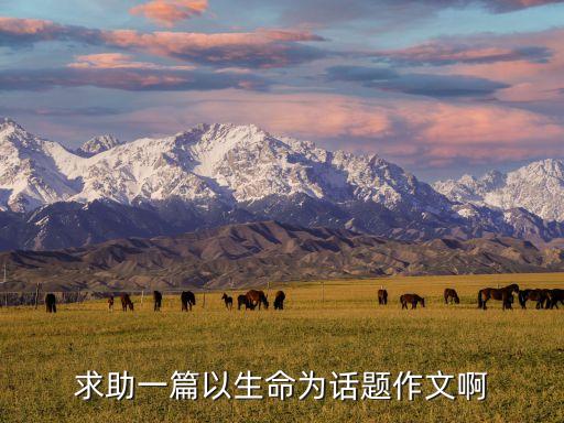科技智能球衣怎么樣了，麥帝與科比誰的技術(shù)全面