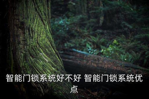 智能門(mén)鎖系統(tǒng)好不好 智能門(mén)鎖系統(tǒng)優(yōu)點(diǎn)