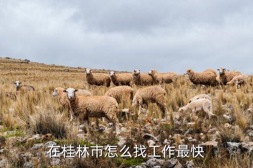 桂林深科技智能怎么應(yīng)聘，桂林人才招聘網(wǎng)如何發(fā)布招聘信息