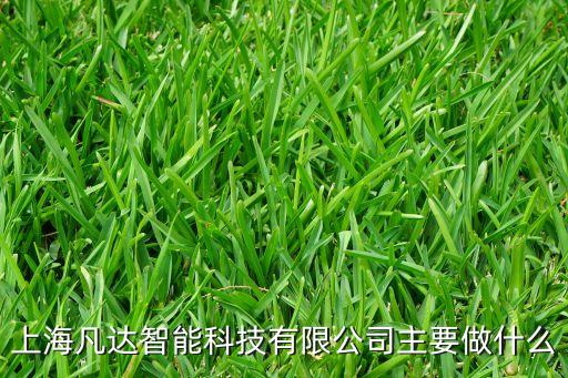 包米智能網(wǎng)絡(luò)科技怎么樣，求問2016款新遠景智能科技到底怎樣