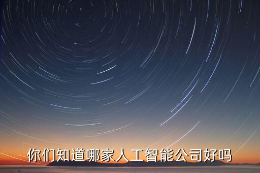你們知道哪家人工智能公司好嗎