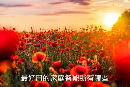 最好用的家庭智能鎖有哪些