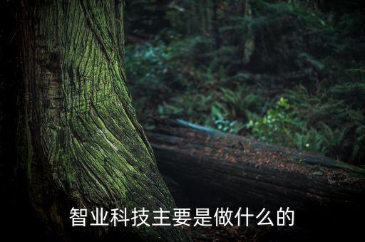 智業(yè)科技主要是做什么的
