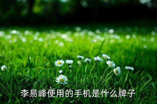 李易峰使用的手機(jī)是什么牌子