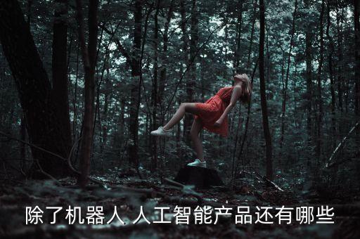 除了機(jī)器人 人工智能產(chǎn)品還有哪些