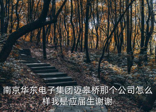 南京華東電子集團邁皋橋那個公司怎么樣我是應屆生謝謝