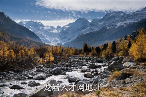 龍巖人才網(wǎng)地址