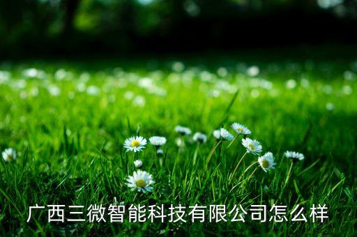 廣西三微智能科技有限公司怎么樣