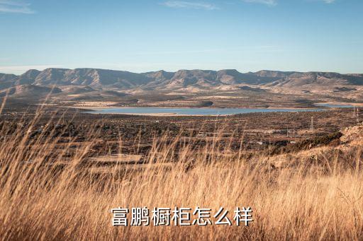 富鵬櫥柜怎么樣
