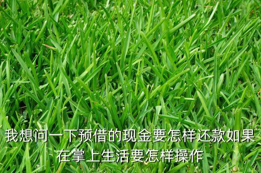 我想問一下預(yù)借的現(xiàn)金要怎樣還款如果在掌上生活要怎樣操作