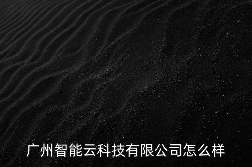 廣州智能云科技有限公司怎么樣