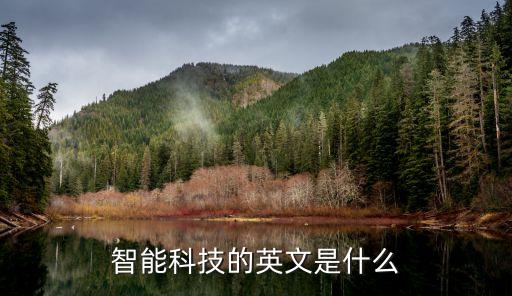 智能科技中臺如何翻譯，有哪個翻譯高手知道智能科技的英譯及縮寫先謝了