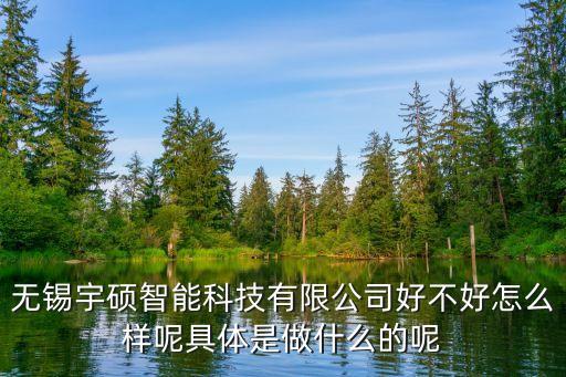 宇碩智能科技怎么樣，無錫宇碩智能科技有限公司好不好怎么樣呢具體是做什么的呢