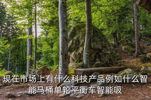 現(xiàn)在市場上有什么科技產(chǎn)品例如什么智能馬桶單輪平衡車智能吸
