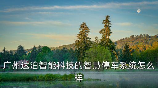廣州達(dá)泊智能科技的智慧停車系統(tǒng)怎么樣