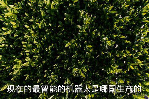 現(xiàn)在的最智能的機(jī)器人是哪國生產(chǎn)的