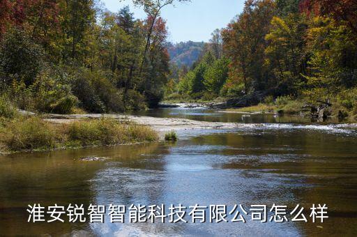 淮安銳智智能科技有限公司怎么樣