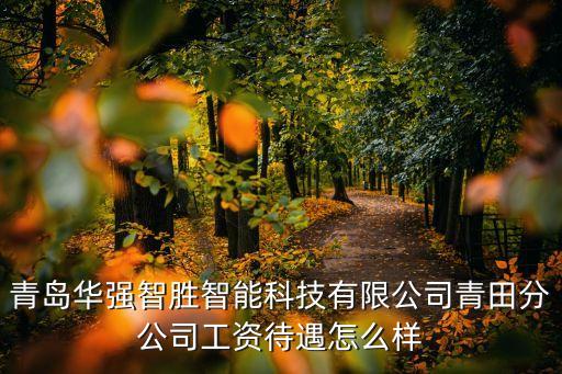 伍強(qiáng)智能科技待遇如何，強(qiáng)智科技技術(shù)實(shí)力如何