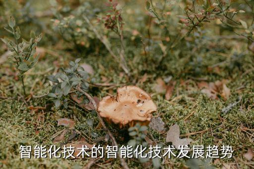 智能化技術(shù)的智能化技術(shù)發(fā)展趨勢(shì)