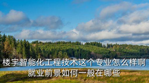 樓宇智能化工程技術(shù)這個專業(yè)怎么樣啊就業(yè)前景如何一般在哪些