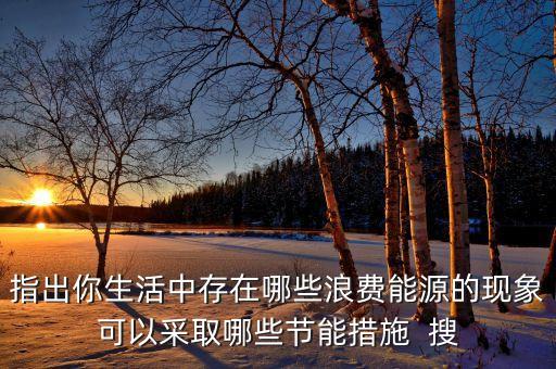 雙槍科技智能筷子怎么樣，指出你生活中存在哪些浪費能源的現(xiàn)象可以采取哪些節(jié)能措施  搜
