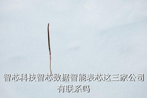 智芯科技智芯數(shù)據(jù)智能表芯這三家公司有聯(lián)系嗎