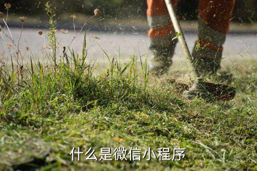 云碩智能科技小程序是什么，NFC近距離通信技術(shù)是什么技術(shù)