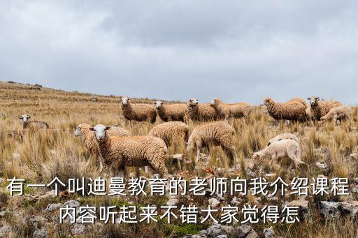 有一個(gè)叫迪曼教育的老師向我介紹課程內(nèi)容聽(tīng)起來(lái)不錯(cuò)大家覺(jué)得怎
