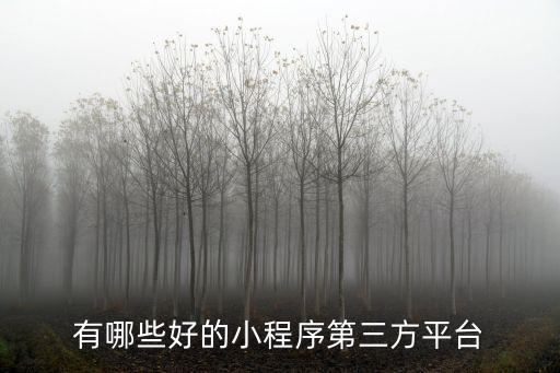 有哪些好的小程序第三方平臺(tái)