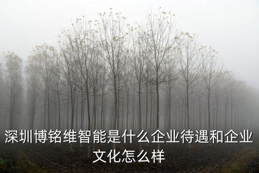 深圳博銘維智能是什么企業(yè)待遇和企業(yè)文化怎么樣