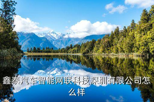 鑫泰智能汽車科技怎么樣，深圳市益豐鑫泰科技有限公司怎么樣