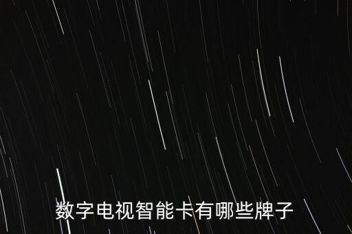 數(shù)字電視智能卡有哪些牌子