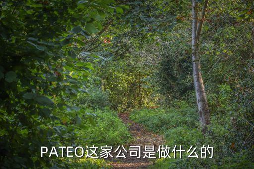 星練咖智能科技是做什么的，玩咖科技是干什么的