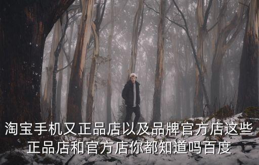 智能黑科技在哪里買(mǎi)到正品，我見(jiàn)有些微信上的微店賣(mài)正品的黑科技產(chǎn)品有設(shè)置店內(nèi)代銷(xiāo)但沒(méi)有