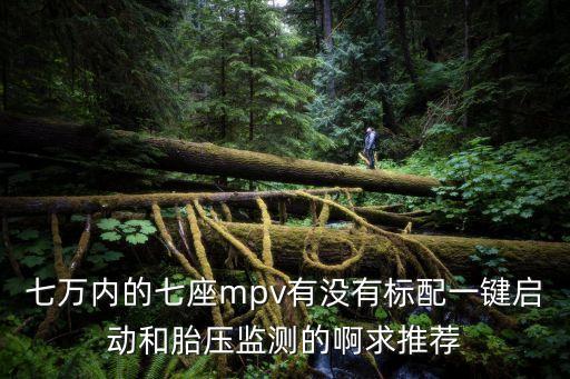 七萬內(nèi)的七座mpv有沒有標(biāo)配一鍵啟動和胎壓監(jiān)測的啊求推薦
