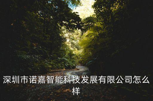 深圳市諾嘉智能科技發(fā)展有限公司怎么樣
