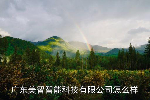 廣東美智智能科技有限公司怎么樣