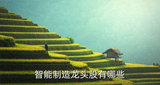 智能制造龍頭股有哪些