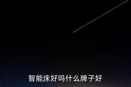 智能床好嗎什么牌子好