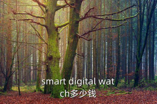 smart digital watch多少錢