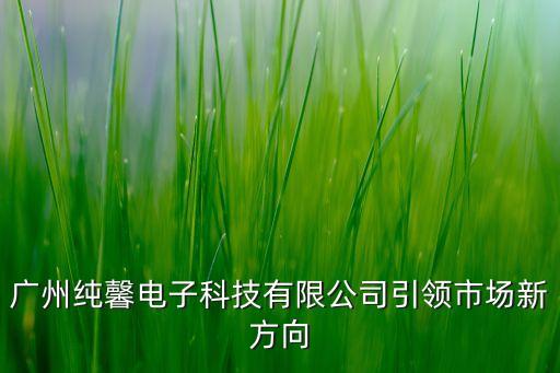 廣州純馨電子科技有限公司引領(lǐng)市場新方向