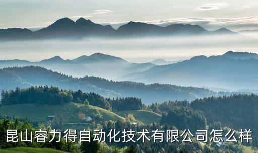昆山心力量智能科技怎么樣，推薦一下